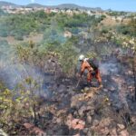 Bombeiros controlam incêndios florestais em Jacobina,Mirangaba,e Antônio Gonçalves