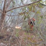 Incêndio na Serra da Grota das Oliveiras continua preocupando população de Saúde