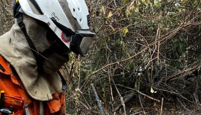 159431,incendio-na-chapada-diamantina-mobiliza-forca-tarefa-com-bombeiros-e-aeronaves-3