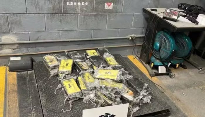 165005,receita-federal-apreende-63-kg-de-cocaina-no-porto-de-salvador-3