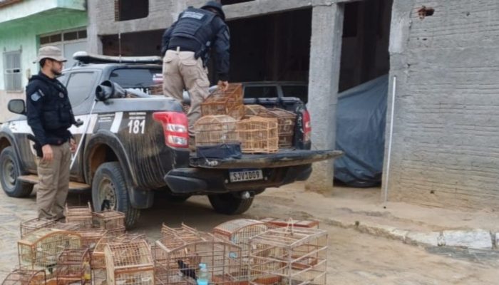 169080,grupo-especializado-em-trafico-interestadual-de-animais-silvestres-e-desarticulado-na-bahia-3 (1)