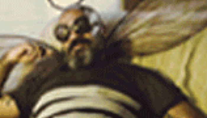 BANNER_ANIMADO_CombateDengue_728x90
