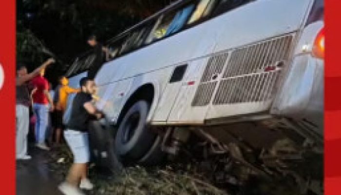 Capturar-12.jpg