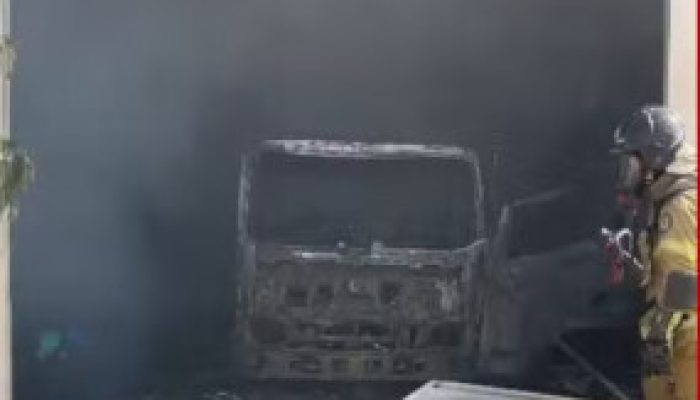Capturar-65.jpg
