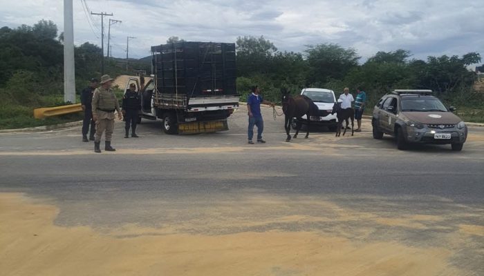 FB_IMG_1769047016982