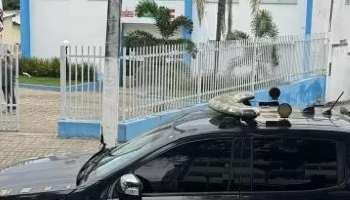 Sem-titulo-229