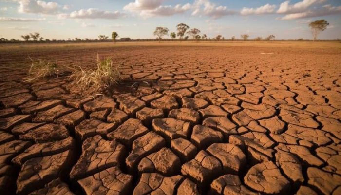 agro-el-nino-03-1-_widelg_widelg.jpg