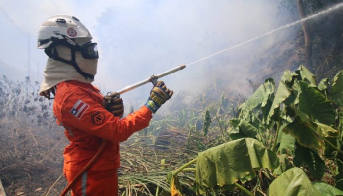 bombeiros-combatem-422-incendios-florestais-na-bahia-em-dois-meses