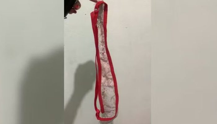 calcinha-misteriosa-vira-motivo-de-barraco-entre-delegado-e-advogado-em-delegacia-vagabundo_widelg.j.jpeg